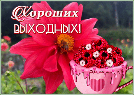 Открытка хороших выходных с ярким цветком и малиной
