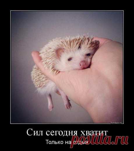 Интересные новости