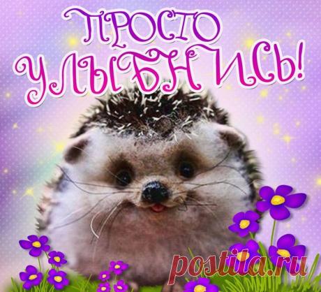 (52) Одноклассники