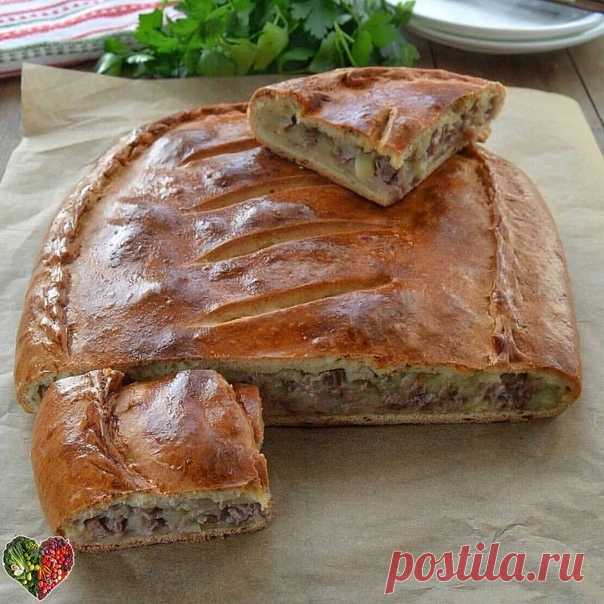 Самый простой рецепт..Такие пироги очень сытные и вкусные. Можно дать мужу на работу, как полноценное второе блюдо. Начинку можно любую несладкую: курицу, рис с мясом или яйцами, рыбу. А можно курицу с морковью и луком пассерованные и сыр сверху потереть. Пирог с мясом и картофелем на кефирном тесте. Вкусный и сочный! Получается у всех с первого раза!) Рекомендую

Ингредиенты:
тесто:
-250 г кефира,
-1 яйцо,
-50 г сливочного масла (растопить),
-1 ч. ложка разрыхлителя,
-1 ч...