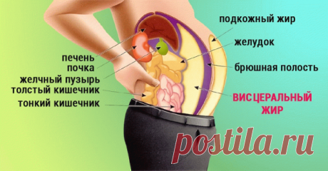 1 непрочитанный чат