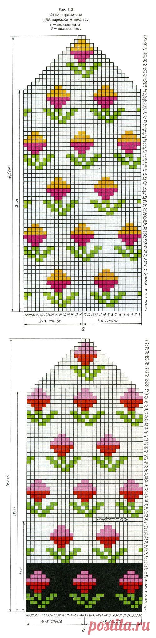 img_111.jpg (500×2038)