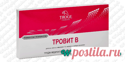 Тровит В инструкция (уколы в ампулах) - WebApteka.info Тровит В (ампулы) - инструкция, применение, противопоказания и побочные эффекты.💊Скачать официальную инструкцию по применению. Аналоги Тровит В (Витамин В)