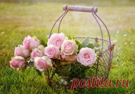 Винтажное Лето \ Rebekka D.