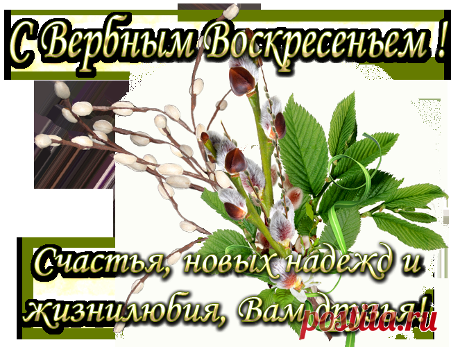 Плейкаст «*** С Вербным Воскресеньем ! Счастья , новых надежд и жизнилюбия ,Вам друзья ***»