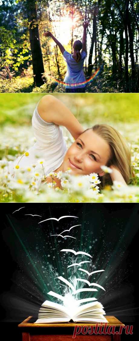 ВедаМост: Навыки жизни со вкусом счастья