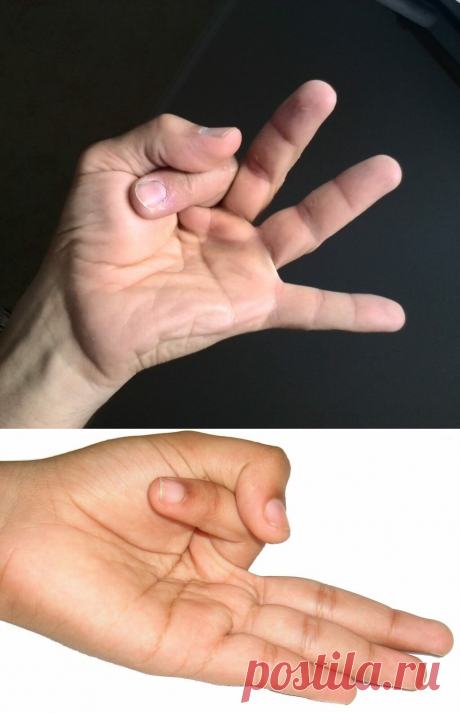 Мудра для укрепления памяти, любых своих достижений, для помощи в запоминании необходимой информации | Фитнес на каждый день | Яндекс Дзен