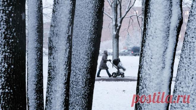 Москвичам рассказали о погоде на 22 декабря. Небольшие осадки и гололедица ожидаются в российской столице 22 декабря. Об этом сообщается на официальном сайте Гидрометцентра РФ. Согласно данным метеорологов, днем температура воздуха в Москве составит от 0 °C до +2 °C. В то ...