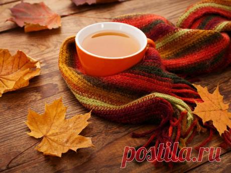 Красивые стихи и золотые краски в волшебных фотографиях осени | Newpix.ru - позитивный интернет-журнал