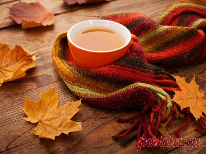 Красивые стихи и золотые краски в волшебных фотографиях осени | Newpix.ru - позитивный интернет-журнал