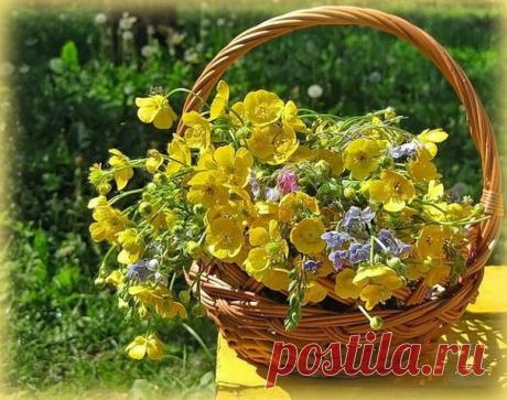 ДОБРОЕ УТРО!
Пусть дом Ваш будет тёплым, глаза - добрыми, улыбка - заразительной! Желаем вам быть неизлечимо здоровыми, бесконечно любимыми и сказочно счастливыми!