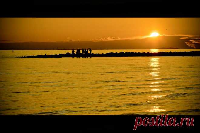 Фотоконкурс «Вот лозунг мой и Солнца!» | 99 фотографий