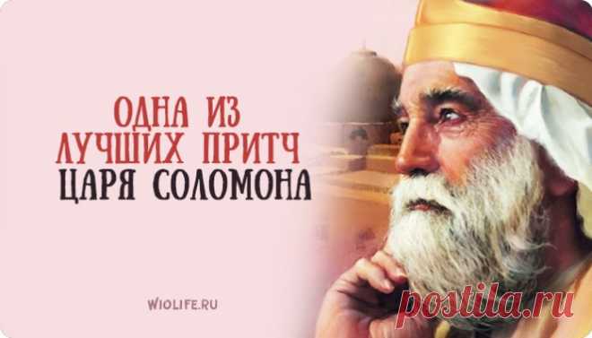Одна из лучших притч царя Соломона