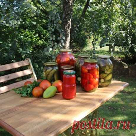 Домашние заготовки - категория блюда, рецепты с фото