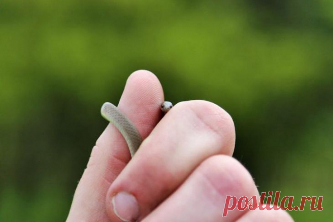 Интересное и прикольное