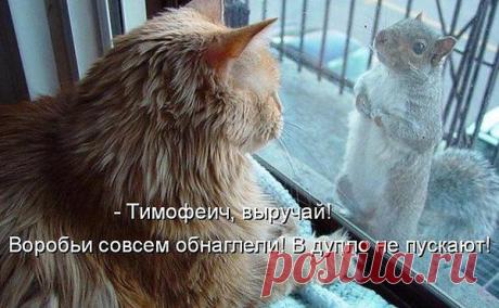 Конкурс «Лицо с обложки»