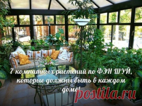 7 комнатных растений по ФЭН ШУЙ, которые должны быть в каждом доме!