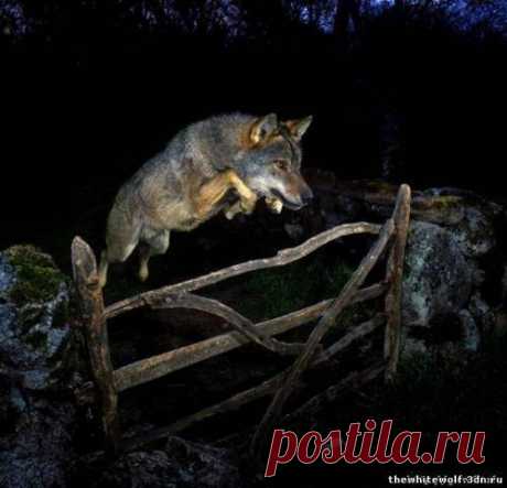 (2) Мой Мир@Mail.Ru