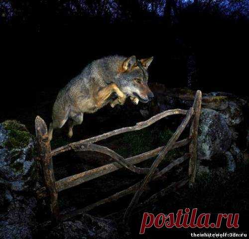 (2) Мой Мир@Mail.Ru