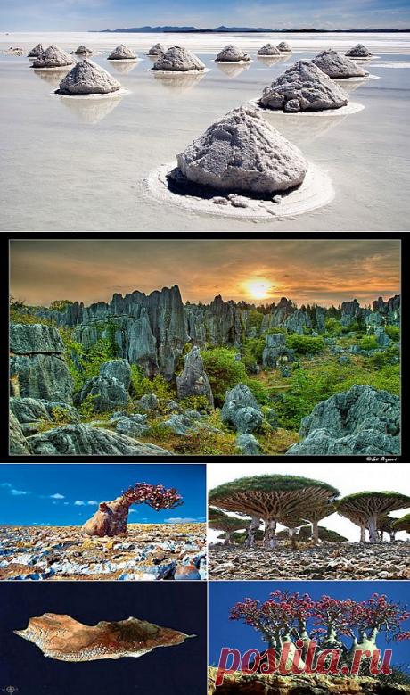 Очередные геологические чудеса / Туристический спутник