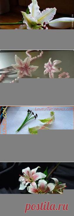 холодный фарфор лилии: 8 тыс изображений найдено в Яндекс.Картинках