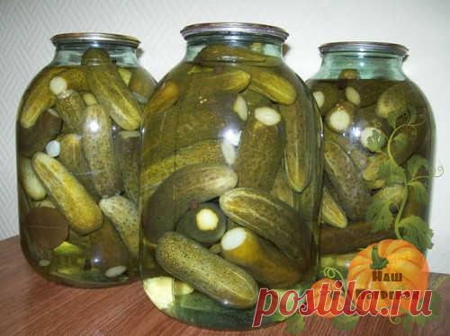 Каждая хозяйка старается, чтобы огурцы на зиму получились хрустящие. У меня все рецепты именно такие. Плюс еще в том, что они без стерилизации. Расчет сделан на 3 литровую банку и на 1 л. Делаю без уксуса с лимонной кислотой, с яблоками и горчицей. Часто закрываю холодным способом, очень удобно. Есть еще с сельдереем, вкуснотища