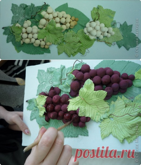 МК &quot;Виноград