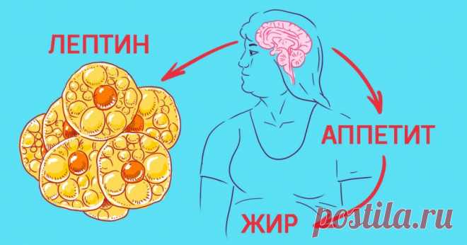 Как управлять голодом: 8 уверенных шагов к вечной стройности. Еда больше не властна над тобой.
Самая большая ошибка в борьбе с лишним весом — это борьба именно с жиром....
Читай пост далее на сайте. Жми ⏫ссылку выше