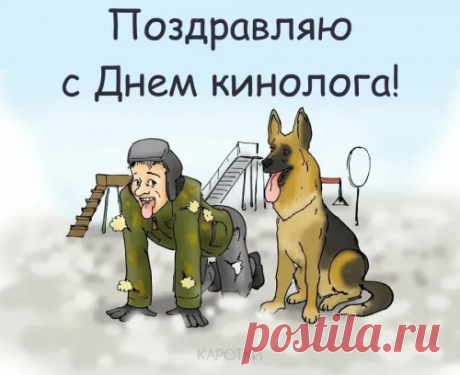 Собака друг, помощник — всем известно,
И преданнее друга не найти;
Сдают они экзамены и тесты,
Чтоб с честью испытания пройти.