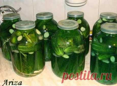 Соленые огурцы на зиму в банках / Простые рецепты