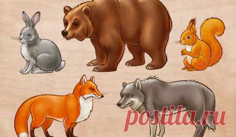 Загадки про диких животных для детей