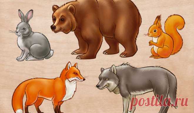 Загадки про диких животных для детей