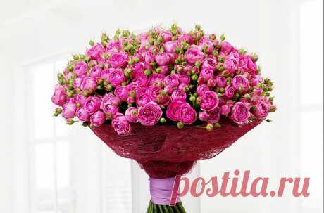 Bouquets_Roses_White_507352.jpg (1280×844)