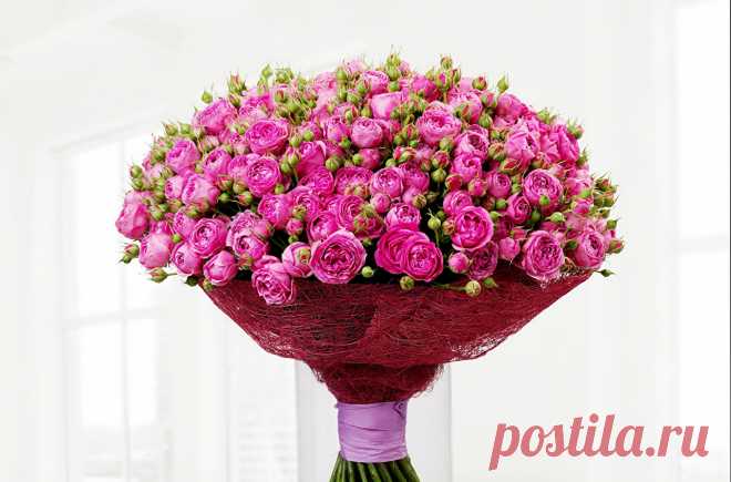 Bouquets_Roses_White_507352.jpg (1280×844)