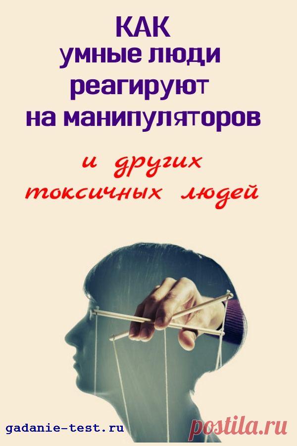 Как умные люди реагируют на атаки манипуляторов и других токсичных людей — СЕКРЕТ