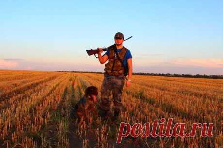 Выручка Нижегородской области от охоты в 2014 году составила 36 млн рублей / Богатая добыча