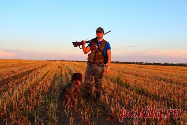 Выручка Нижегородской области от охоты в 2014 году составила 36 млн рублей / Богатая добыча