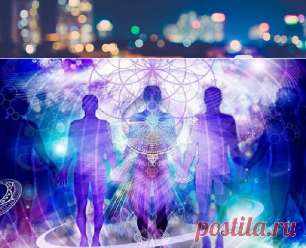 Кто такие лярвы, как распознать и как от них избавиться | Всякая всячина