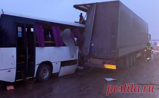 В Татарстане при столкновении автобуса с фурой пострадал 21 человек. В Елабуге автобус с вахтовиками столкнулся с фурой, сообщил ТАСС со ссылкой на региональное управление МВД.