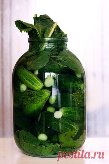 farraru - Малосольные огурцы – вопросов пост