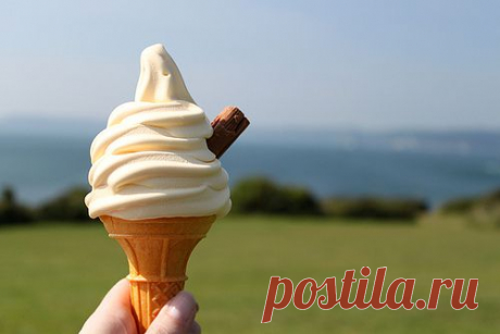 Фотопост: первый день лета | Selfhacker.ru