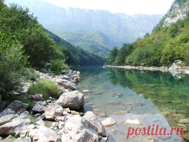 (12) Pavle Obradović