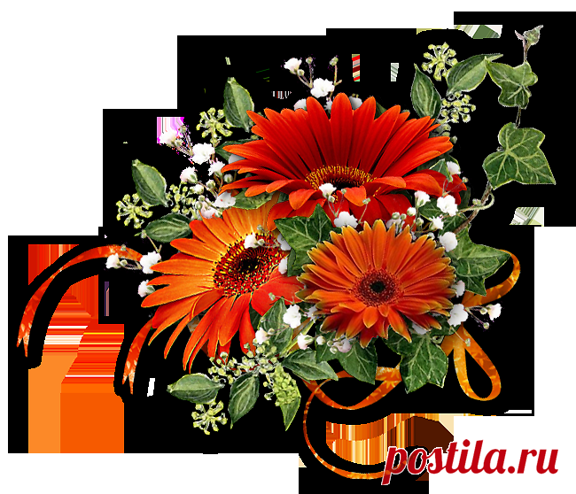 Шикарные цветочные композиции на прозрачном фоне