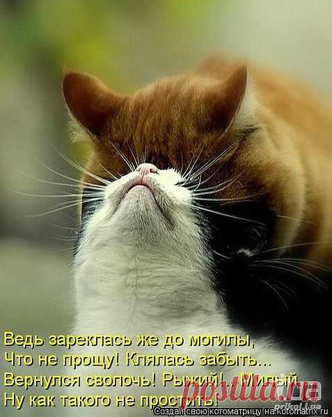 Мой Мир@Mail.Ru
