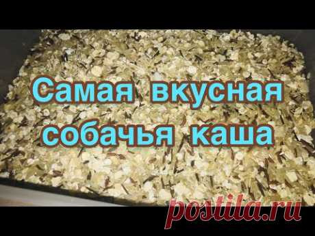 Самая лучшая каша собакам