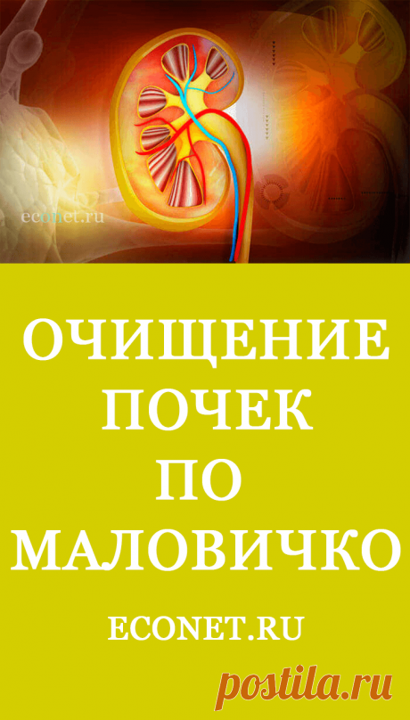 Очищаем почки по Маловичко / Будьте здоровы