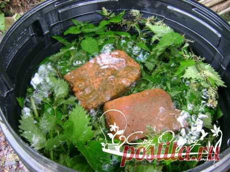 Статья о том, как сделать удобрение которое готовится намного быстрее компоста, но не менее эффективно.