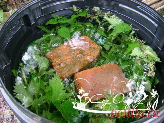 Статья о том, как сделать удобрение которое готовится намного быстрее компоста, но не менее эффективно.