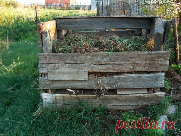 Не простое дело — подготовка компоста — 6 соток
