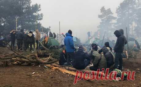 Письмо главы МИД Белоруссии по ситуации с мигрантами передали генсеку ООН. Белоруссия передала генеральному секретарю ООН Антониу Гутерришу личное письмо министра иностранных дел Белоруссии Владимира Макея о ситуации с мигрантами на белорусско-польской границе.